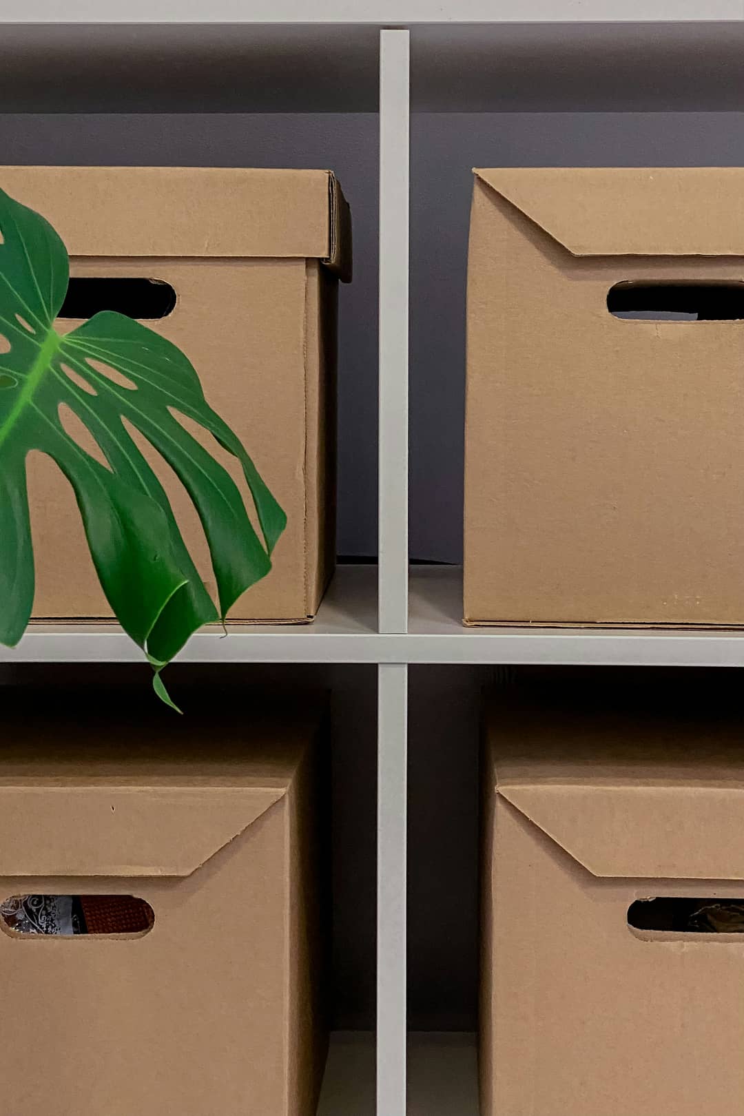 観葉植物の隣に積まれた、蓋の閉じた段ボール収納ボックス