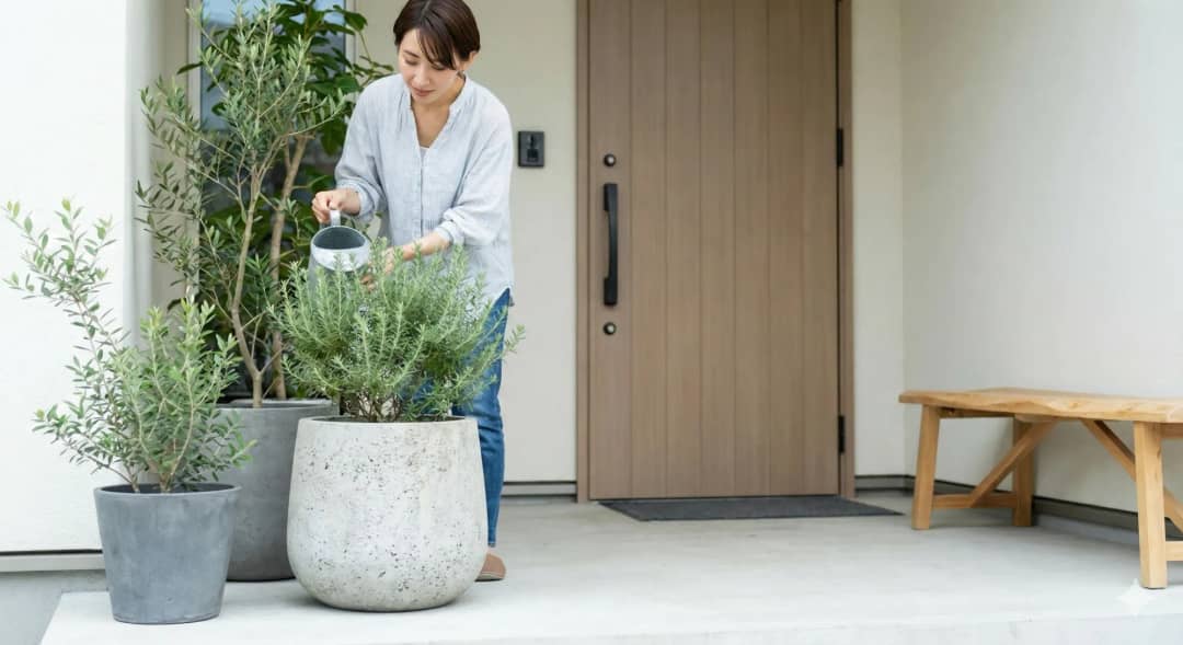 植物の「声」を可視化する技術が進んでいます。