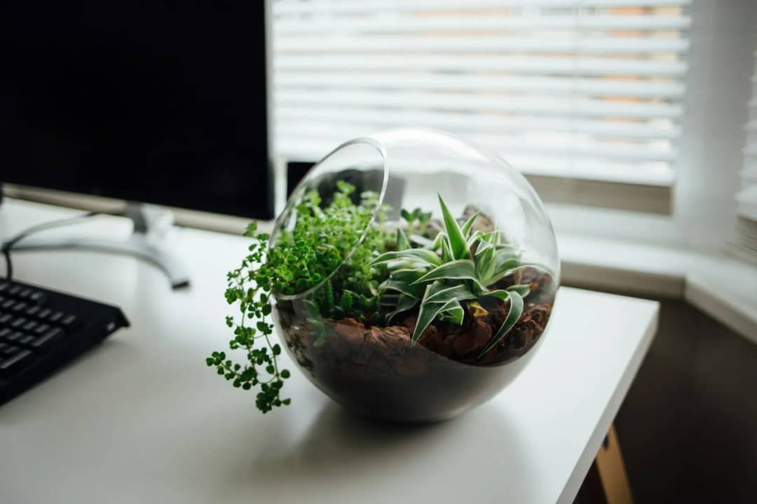 茶を淹れる一連の所作が生む、凛とした「深い余白」。